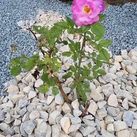 Lejlighed Les Chants Du Crepuscule