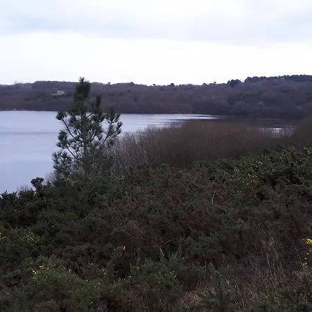 Les Chants Du Crepuscule