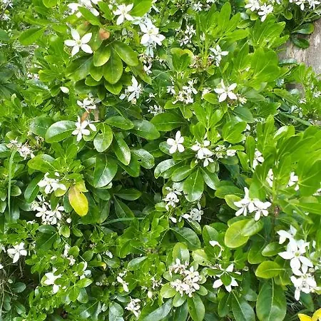 شقة Les Chants Du Crepuscule