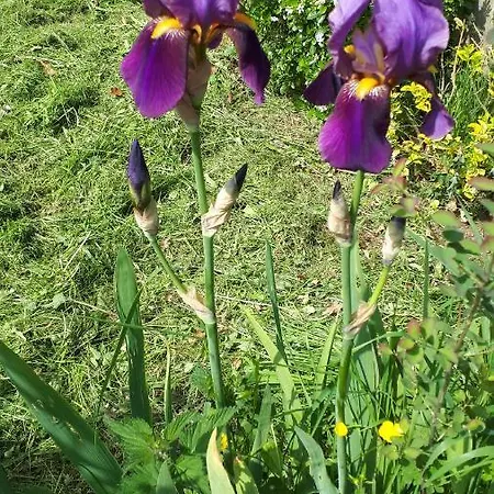 Les Chants Du Crepuscule شقة *