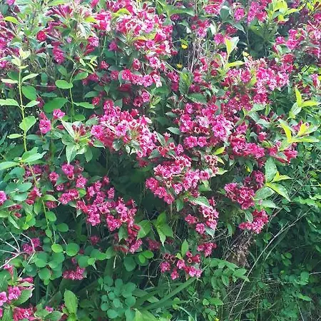 Lejlighed Les Chants Du Crepuscule