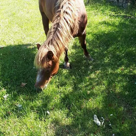 Les Chants Du Crepuscule Lejlighed *