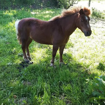 Lejlighed Les Chants Du Crepuscule *