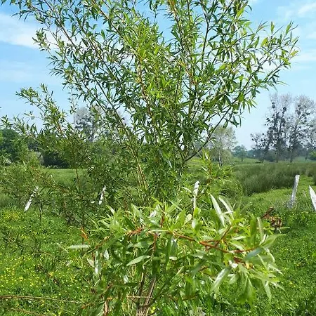Les Chants Du Crepuscule شقة