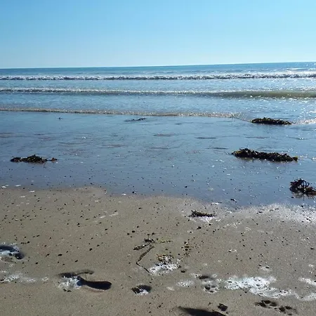 Les Chants Du Crepuscule * Marchésieux