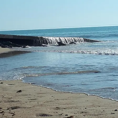 Les Chants Du Crepuscule *