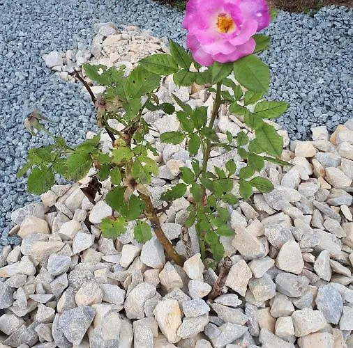 Apartment Les Chants Du Crepuscule