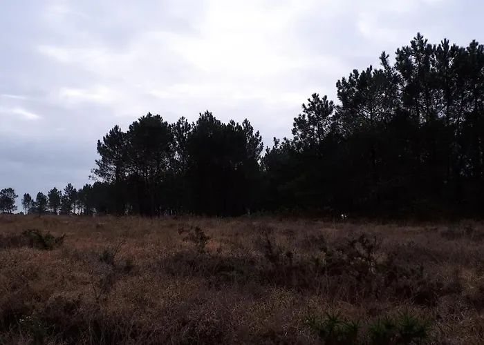 Les Chants Du Crepuscule