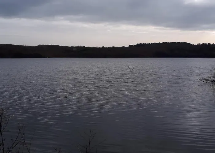 Les Chants Du Crepuscule Marchesieux