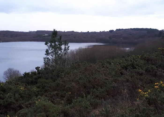 Les Chants Du Crepuscule