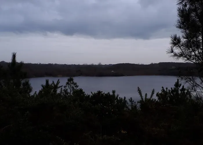 Les Chants Du Crepuscule *