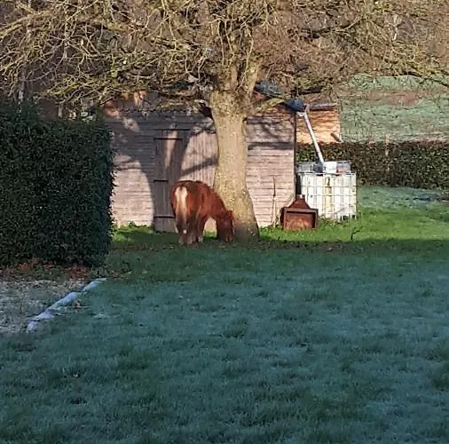 Les Chants Du Crepuscule Apartment Marchesieux