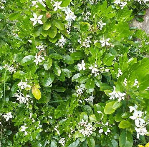 Apartment Les Chants Du Crepuscule