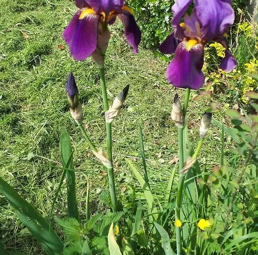 Les Chants Du Crepuscule Appartement *