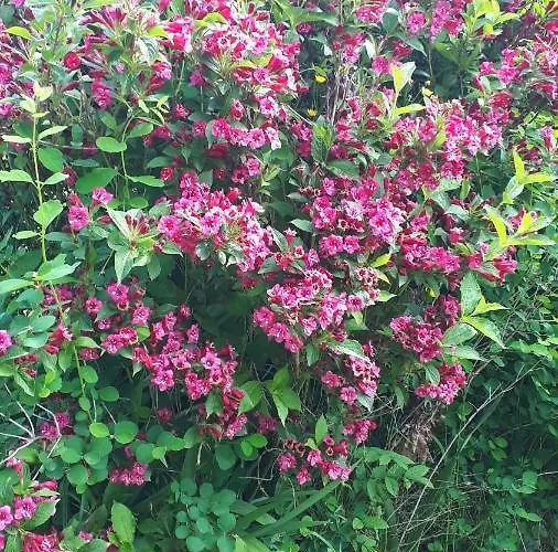 Apartment Les Chants Du Crepuscule