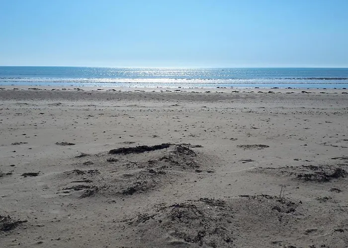 Les Chants Du Crepuscule