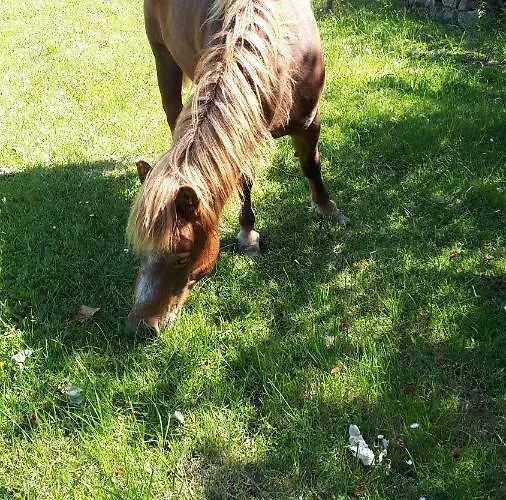 Les Chants Du Crepuscule Appartement *