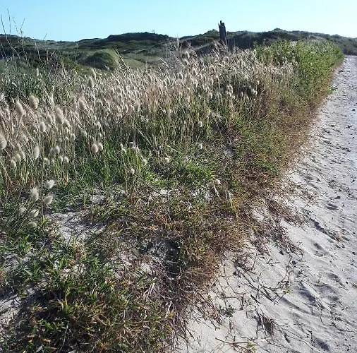 Les Chants Du Crepuscule *