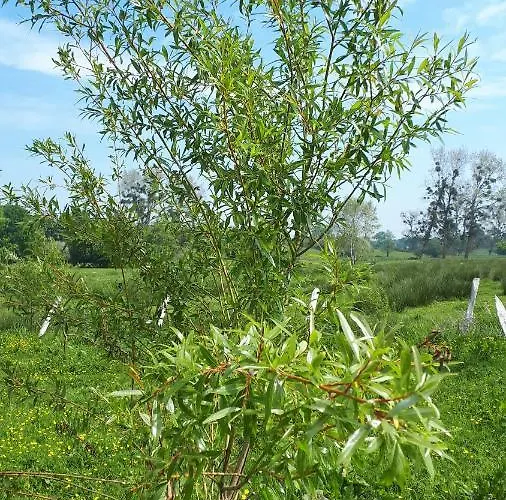 Les Chants Du Crepuscule Apartment