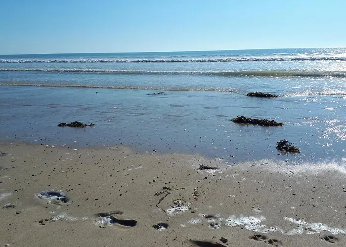 Les Chants Du Crepuscule * Marchésieux