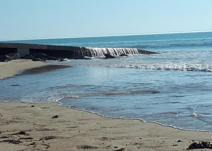 Les Chants Du Crepuscule *