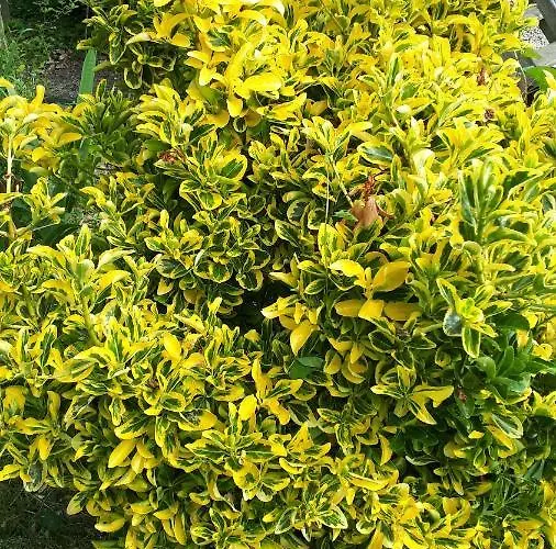 Les Chants Du Crepuscule Apartment *