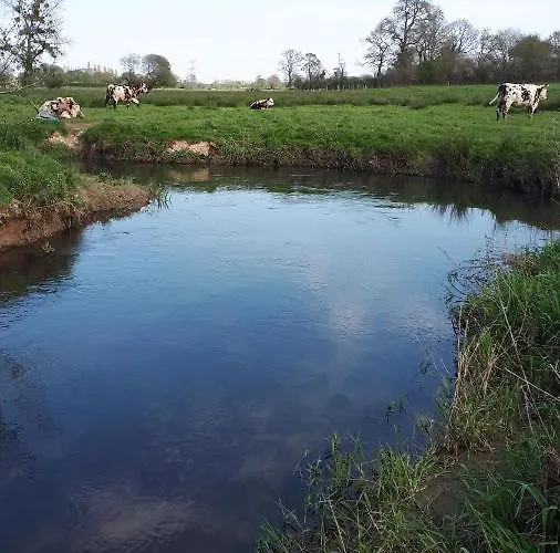 Les Chants Du Crepuscule Apartment Marchesieux